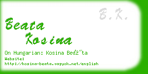 beata kosina business card